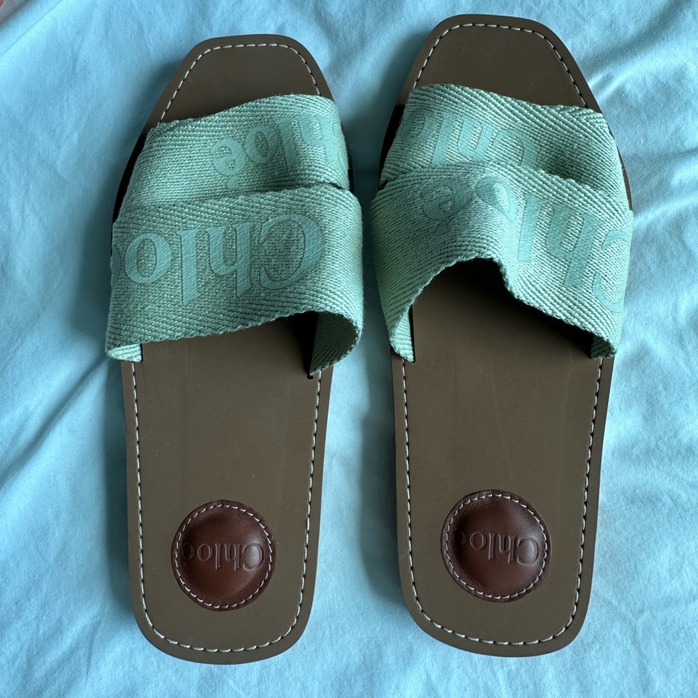 Chloe woody hazy green new never worn
